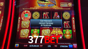 377bet com
