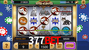 377bet